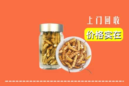 收购资讯:海口市回收散虫草