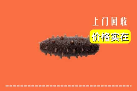 收购资讯:海口市回收海参